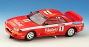 Nissan Skyline GT-R  Winfield